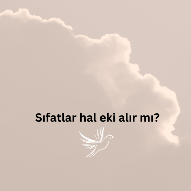 Sıfatlar hal eki alır mı? 1