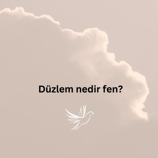 Düzlem nedir fen? 1