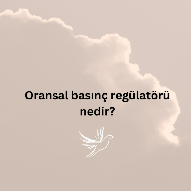 Oransal basınç regülatörü nedir? 1