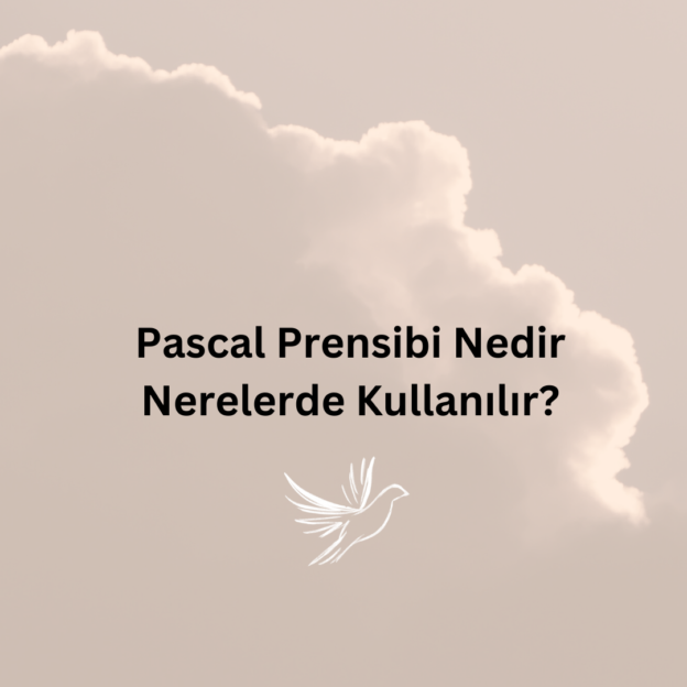 Pascal Prensibi Nedir Nerelerde Kullanılır? 1