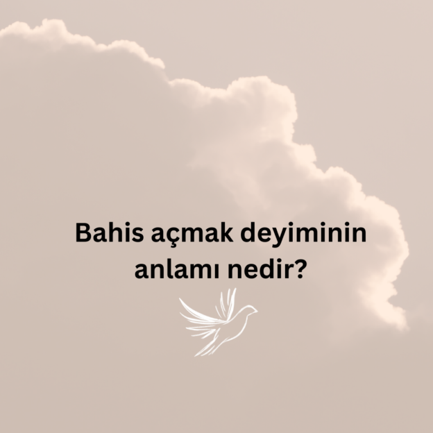 Bahis açmak deyiminin anlamı nedir? 1