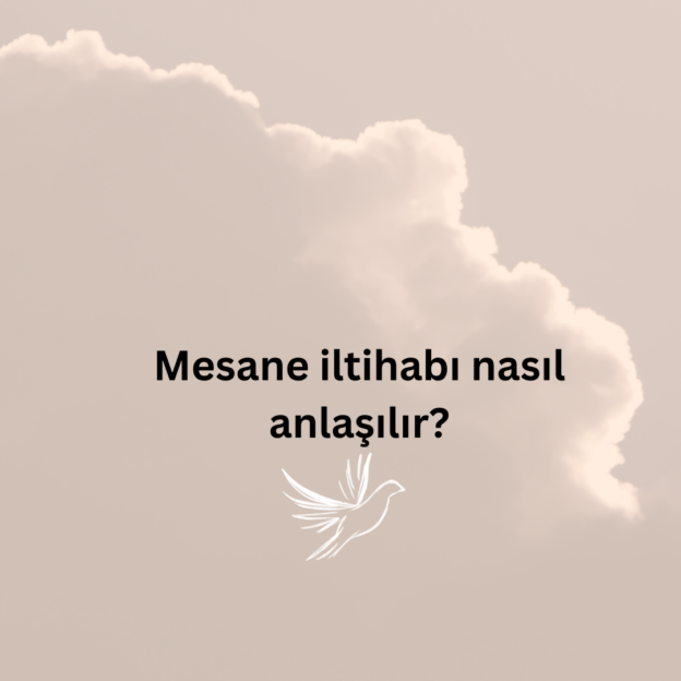 Mesane iltihabı nasıl anlaşılır? 1