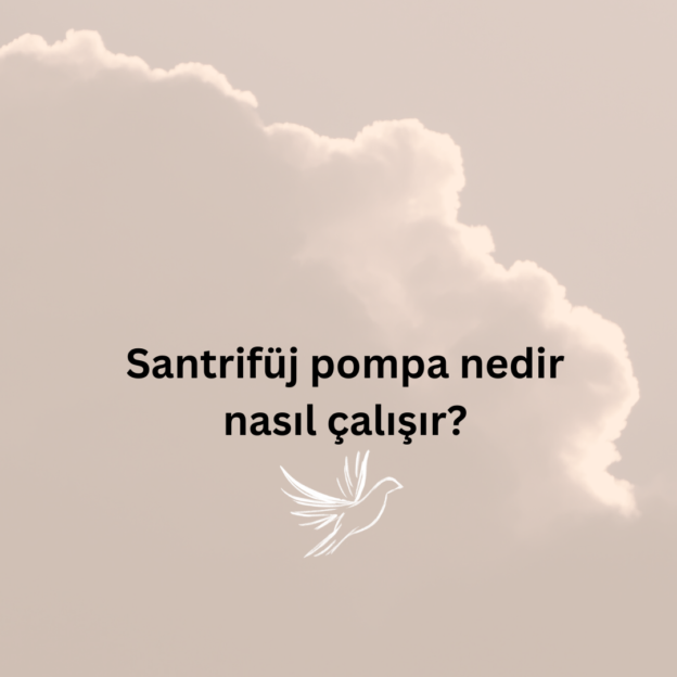 Santrifüj pompa nedir nasıl çalışır? 1