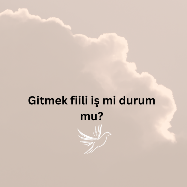 Gitmek fiili iş mi durum mu? 1