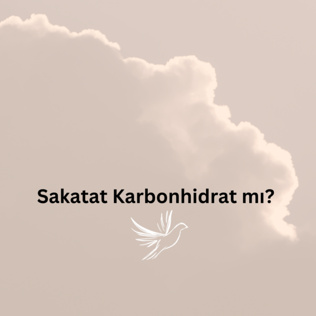 Sakatat Karbonhidrat mı? 1