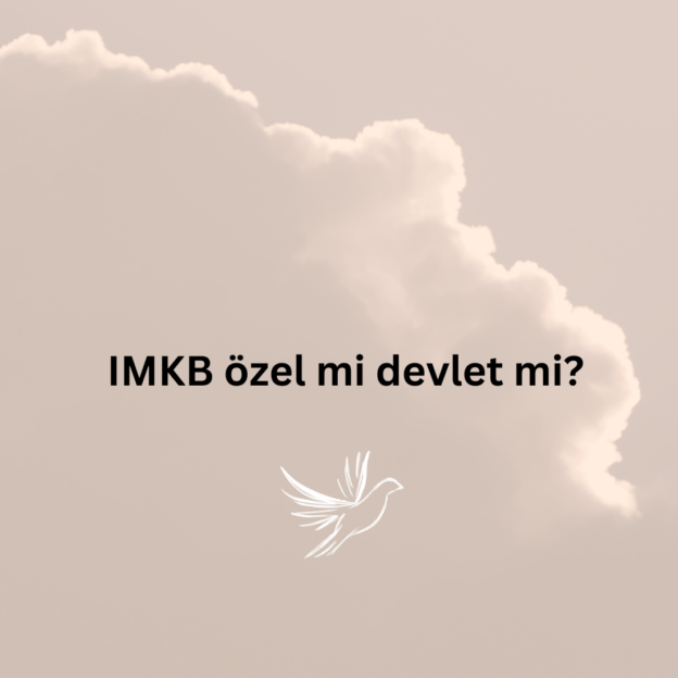 IMKB özel mi devlet mi? 1