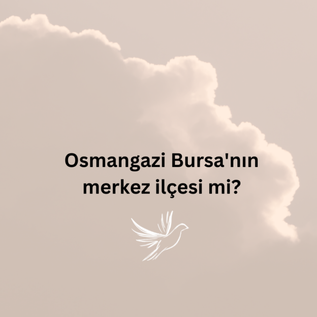 Osmangazi Bursa'nın merkez ilçesi mi? 1