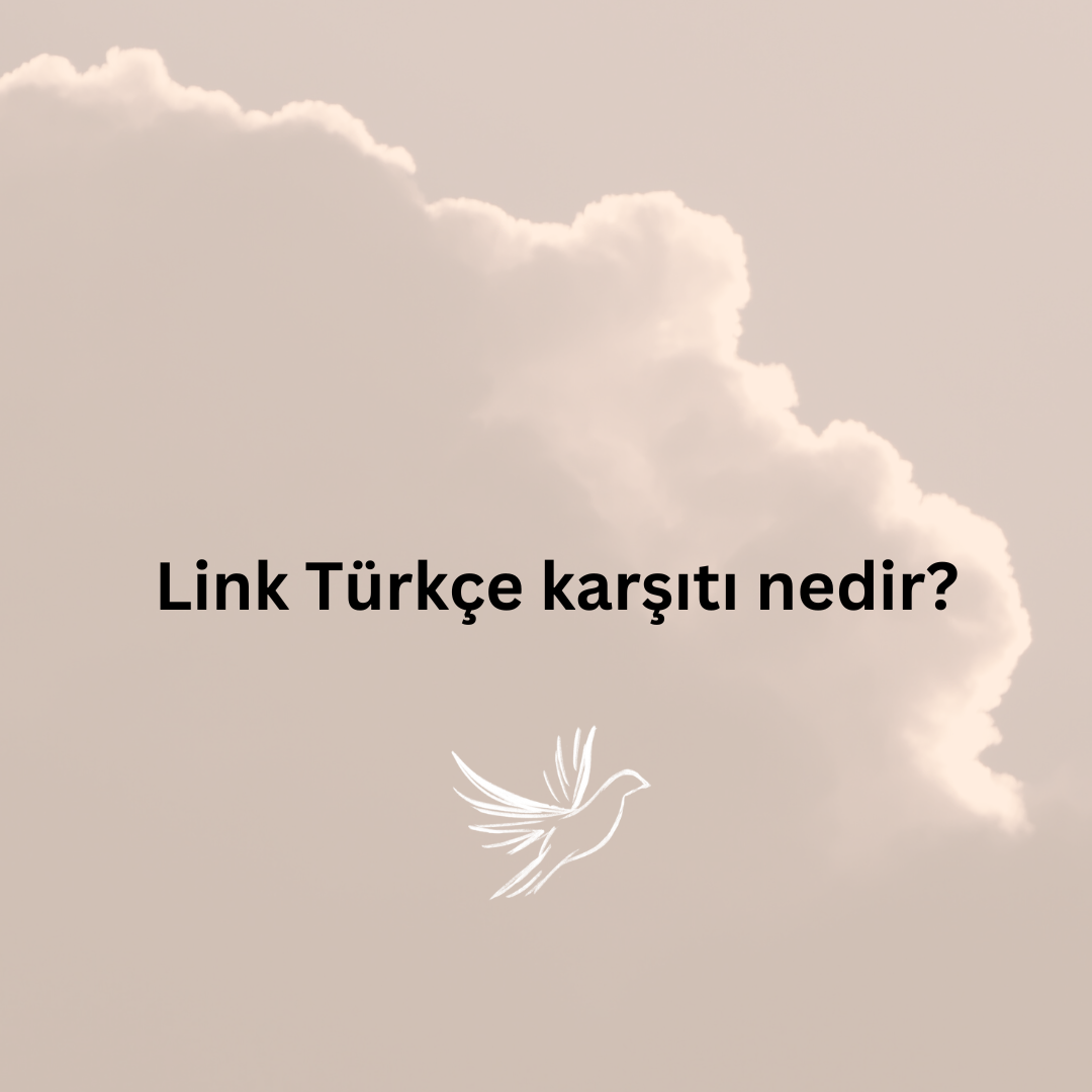 link sözcüğünün türkçe karşılığı nedir