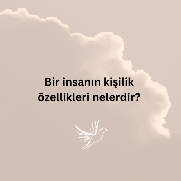 Bir insanın kişilik özellikleri nelerdir? 1