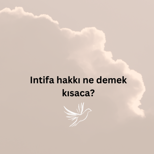 Intifa hakkı ne demek kısaca? 1