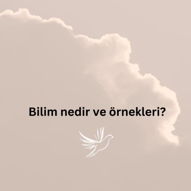 Bilim nedir ve örnekleri? 1