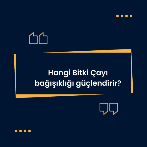 Hangi Bitki Çayı bağışıklığı güçlendirir? 1