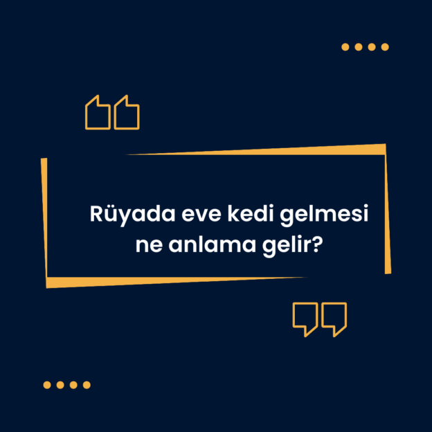 Rüyada eve kedi gelmesi ne anlama gelir? 1