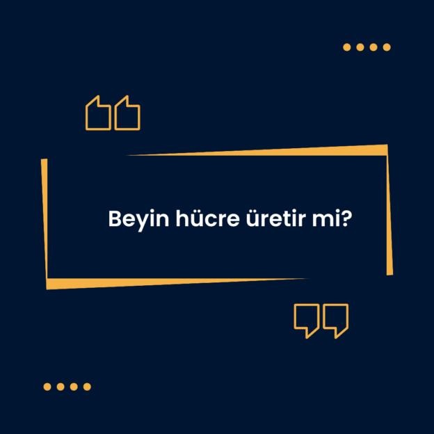 Beyin hücre üretir mi? 1