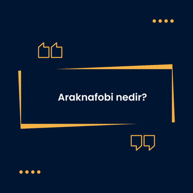 Araknafobi nedir? 1