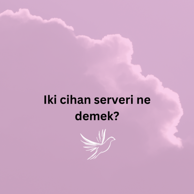 Iki cihan serveri ne demek? 1