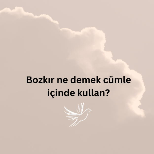 Bozkır ne demek cümle içinde kullan? 1