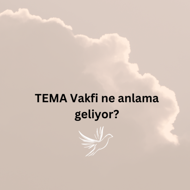 TEMA Vakfi ne anlama geliyor? 1