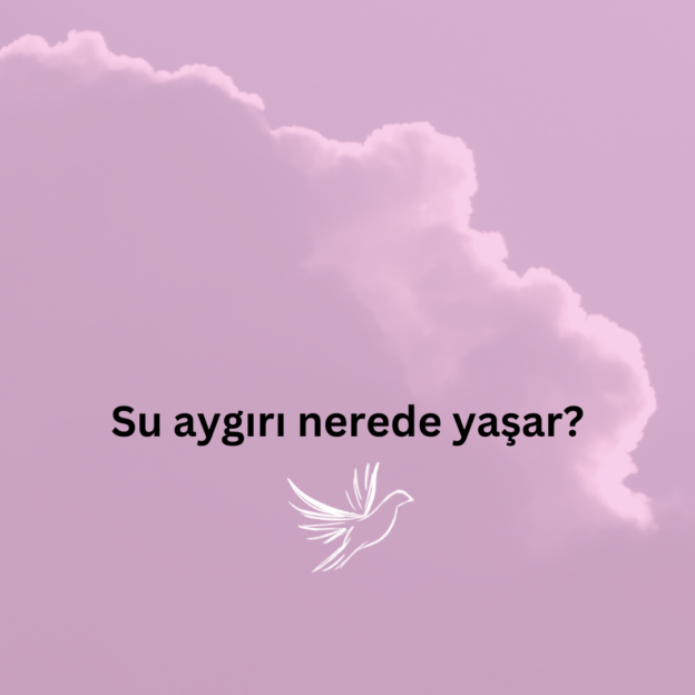 Su aygırı nerede yaşar? 1