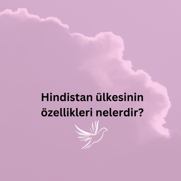 Hindistan ülkesinin özellikleri nelerdir? 1