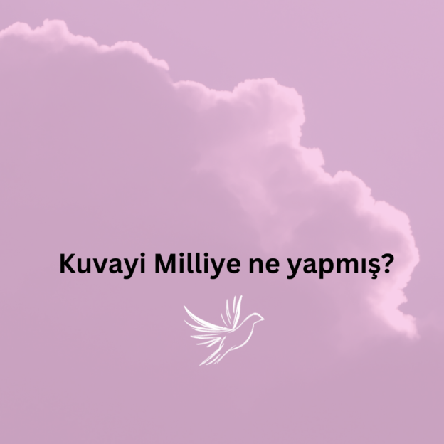 Kuvayi Milliye ne yapmış? 1