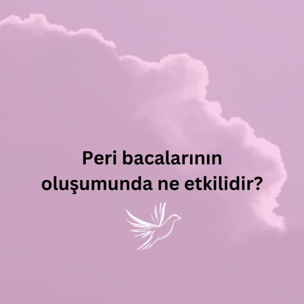 Peri bacalarının oluşumunda ne etkilidir? 1