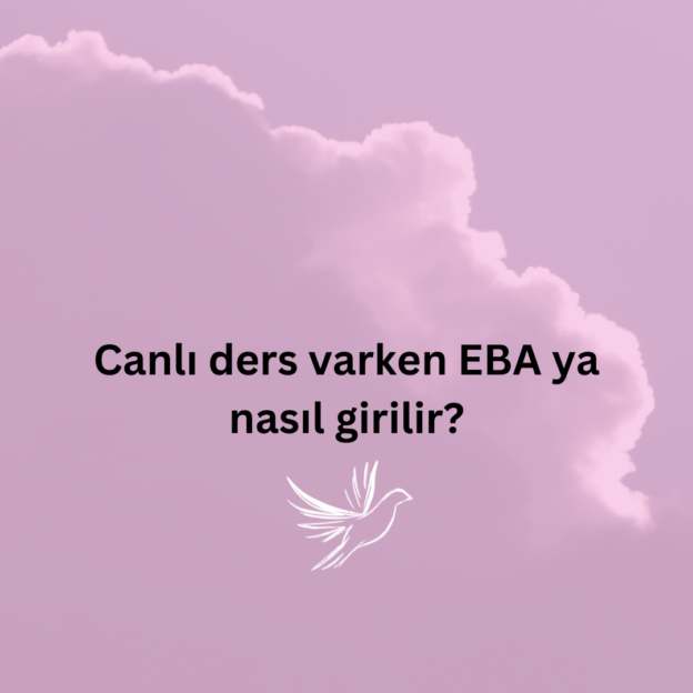 Canlı ders varken EBA ya nasıl girilir? 1