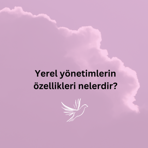 Yerel yönetimlerin özellikleri nelerdir? 1