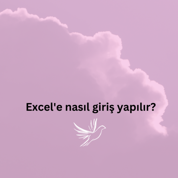 Excel'e nasıl giriş yapılır? 1