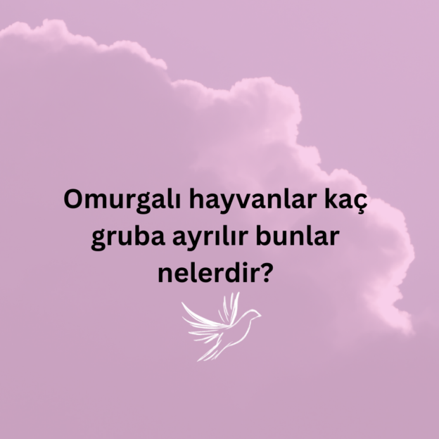 Omurgalı hayvanlar kaç gruba ayrılır bunlar nelerdir? 1