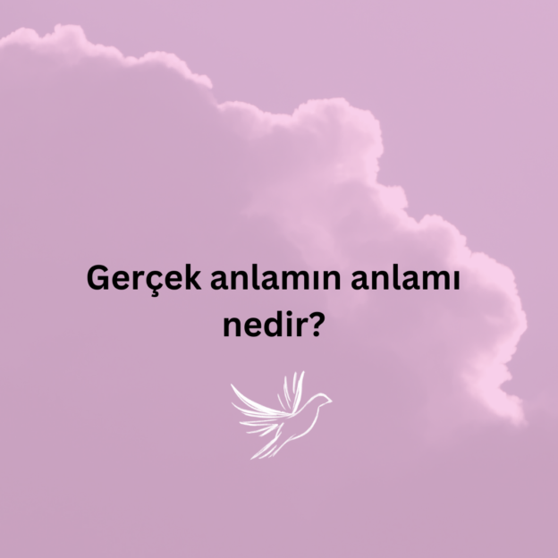 Gerçek anlamın anlamı nedir? 1