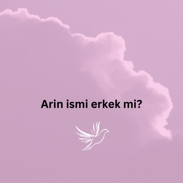 Arin ismi erkek mi? 1