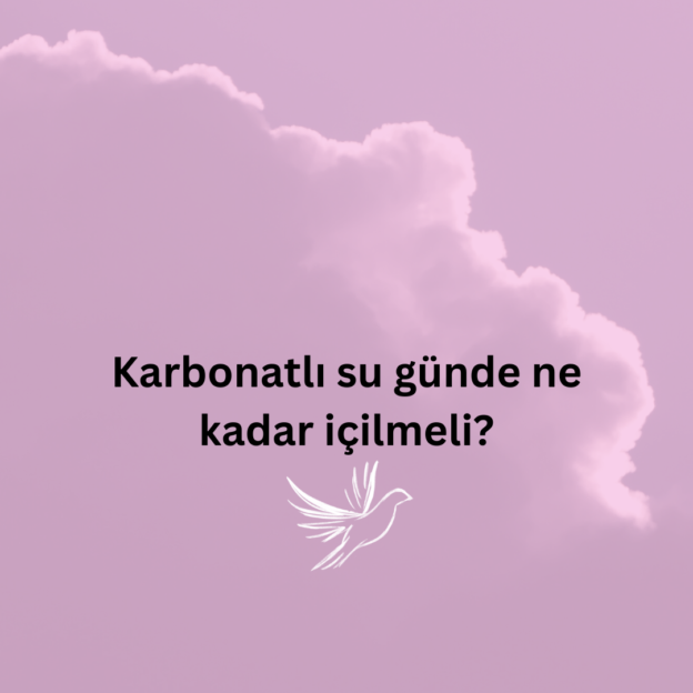 Karbonatlı su günde ne kadar içilmeli? 1