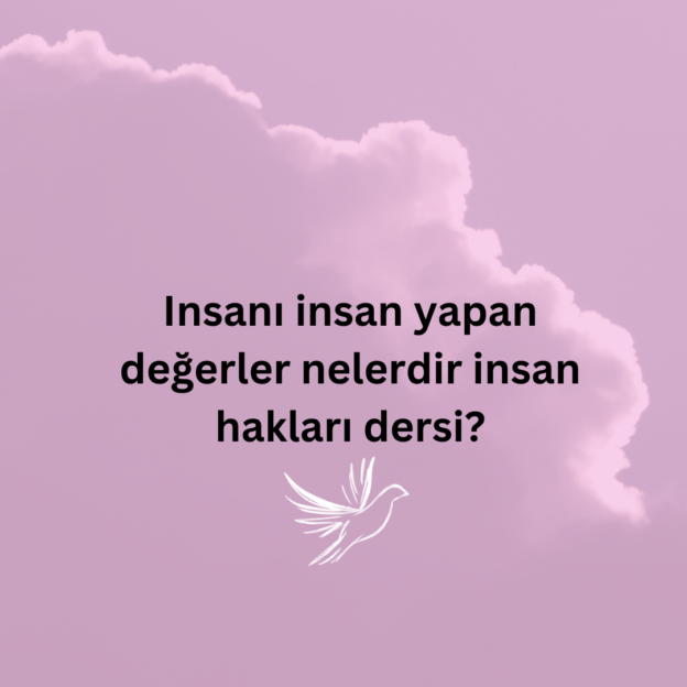 Insanı insan yapan değerler nelerdir insan hakları dersi? 1