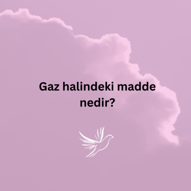 Gaz halindeki madde nedir? 1