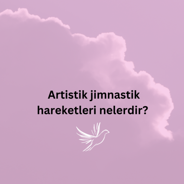 Artistik jimnastik hareketleri nelerdir? 1