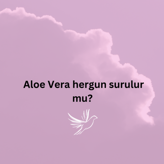 Aloe Vera hergun surulur mu? 1