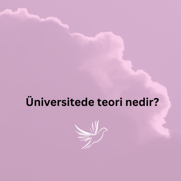 Üniversitede teori nedir? 1