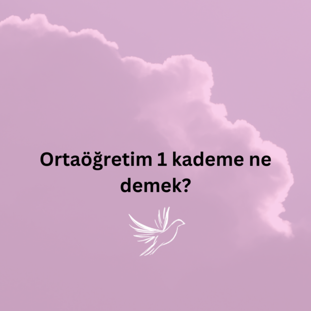 Ortaöğretim 1 kademe ne demek? 1