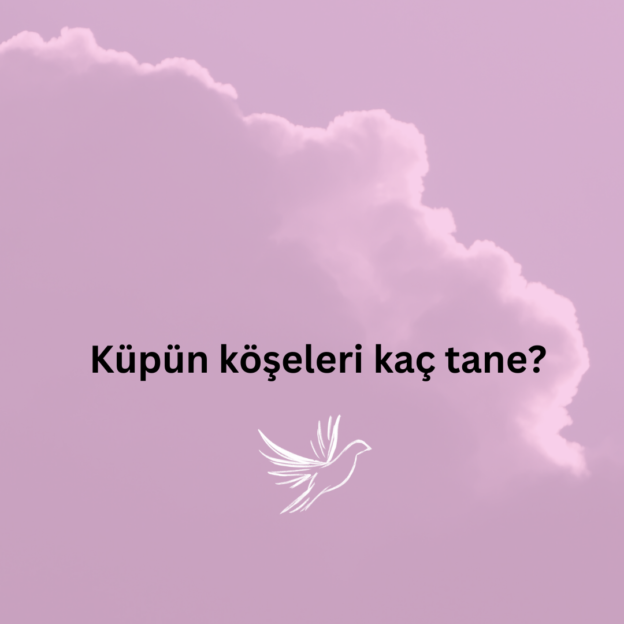 Küpün köşeleri kaç tane? 1