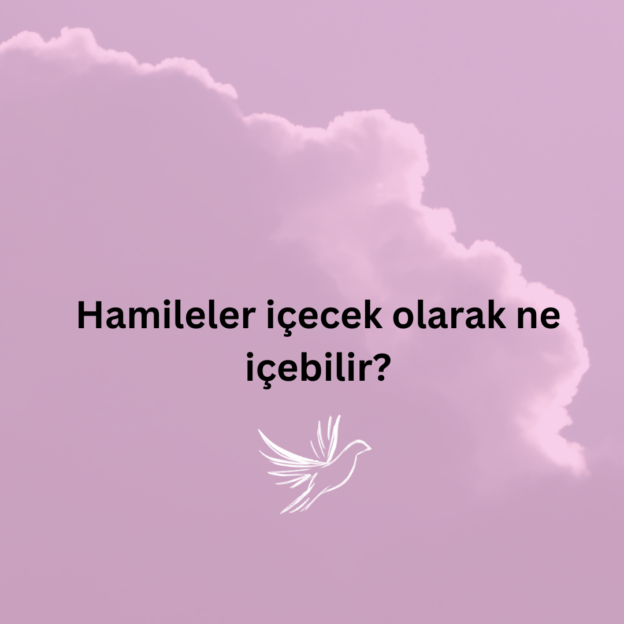 Hamileler içecek olarak ne içebilir? 1