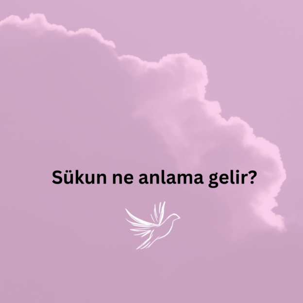 Sükun ne anlama gelir? 1