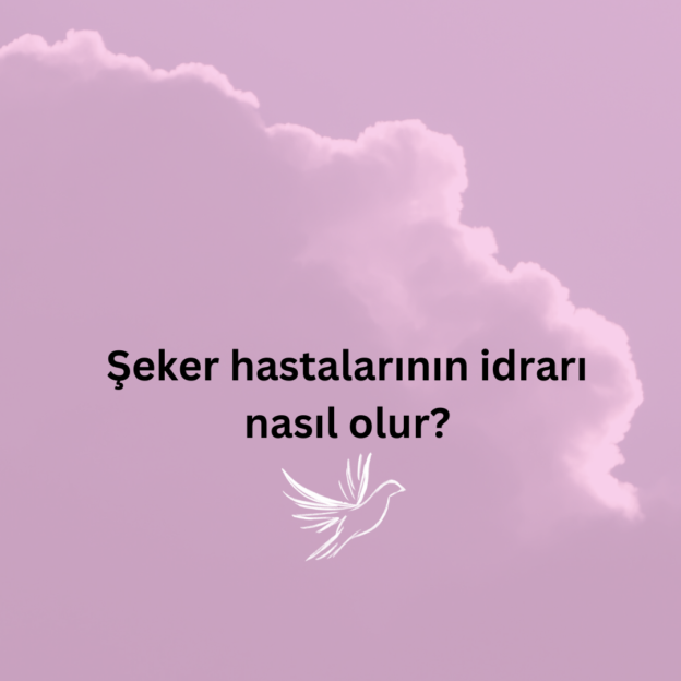 Şeker hastalarının idrarı nasıl olur? 1