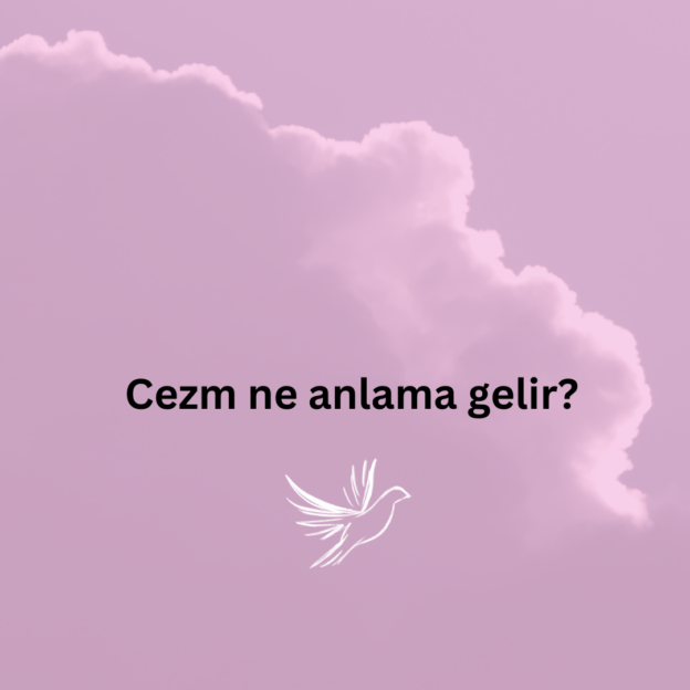 Cezm ne anlama gelir? 1