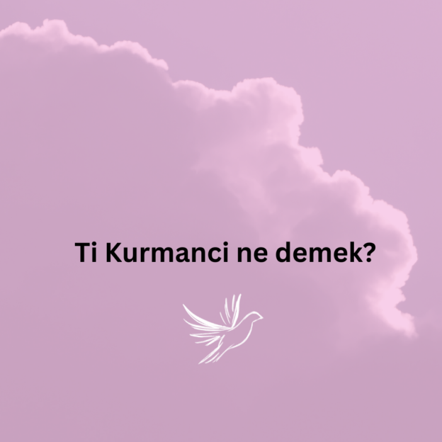 Ti Kurmanci ne demek? 1