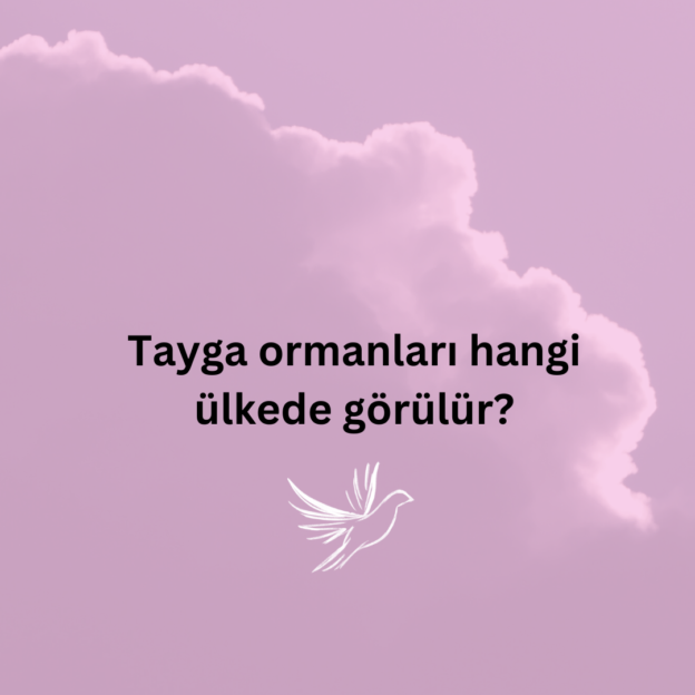 Tayga ormanları hangi ülkede görülür? 1