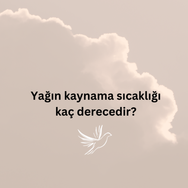 Yağın kaynama sıcaklığı kaç derecedir? 1