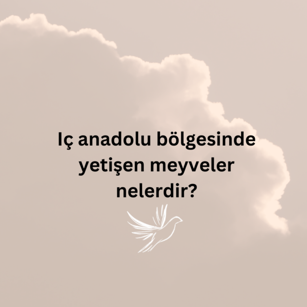 Iç anadolu bölgesinde yetişen meyveler nelerdir? 1