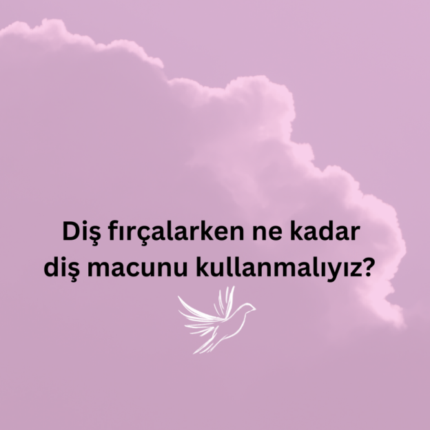 Diş fırçalarken ne kadar diş macunu kullanmalıyız? 1