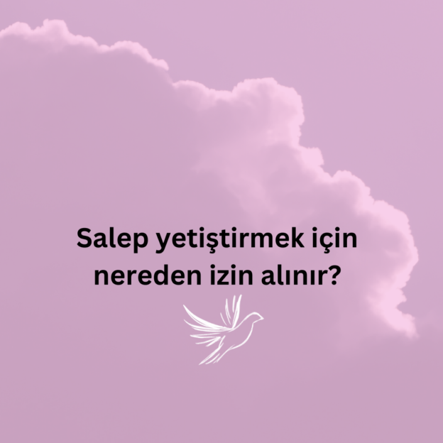 Salep yetiştirmek için nereden izin alınır? 1